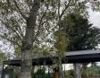 Venta Parcela Hacienda Chamiza
